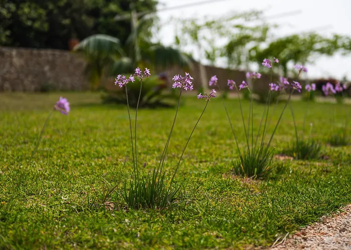 La Limini אוטרנטו